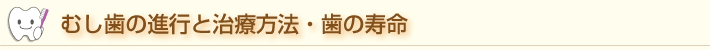 足立区西新井の歯医者はあさひ歯科｜むし歯の進行と治療方法・歯の寿命